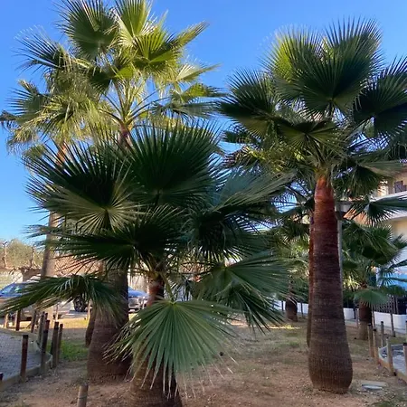 Camargue Village Sun And #1 5 Personnes *